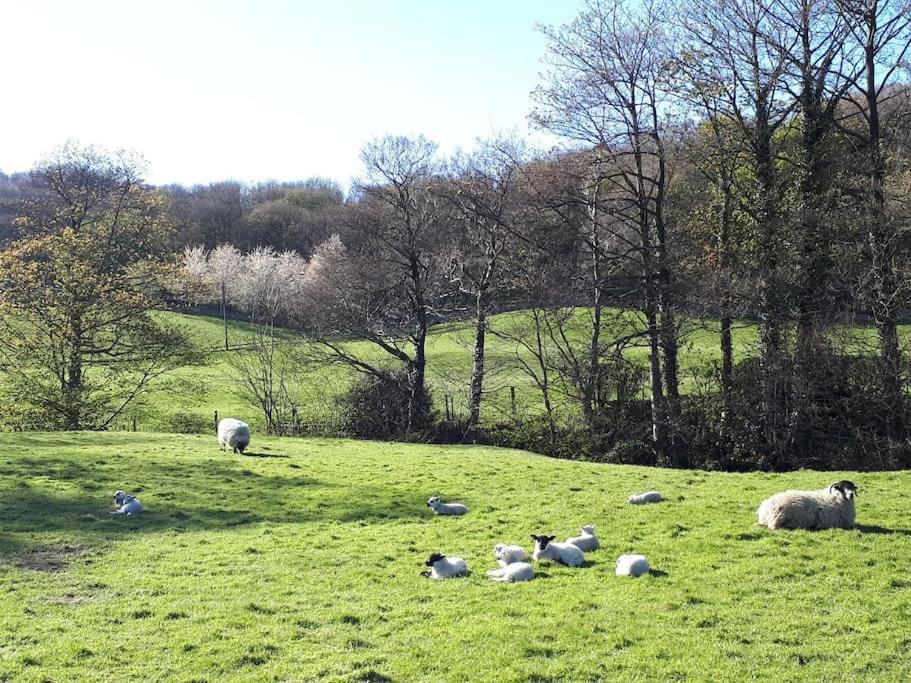 Folly View - Private, Peaceful Apartment With Stunning Views. Pateley Bridge Exteriér fotografie