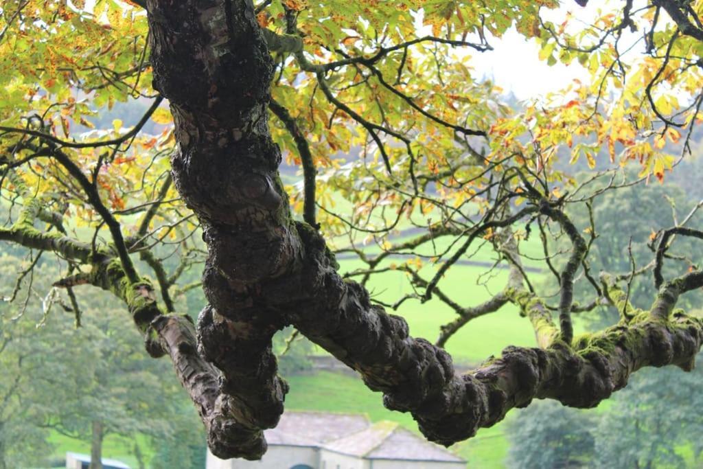 Folly View - Private, Peaceful Apartment With Stunning Views. Pateley Bridge Exteriér fotografie